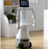 Humanoid Robots