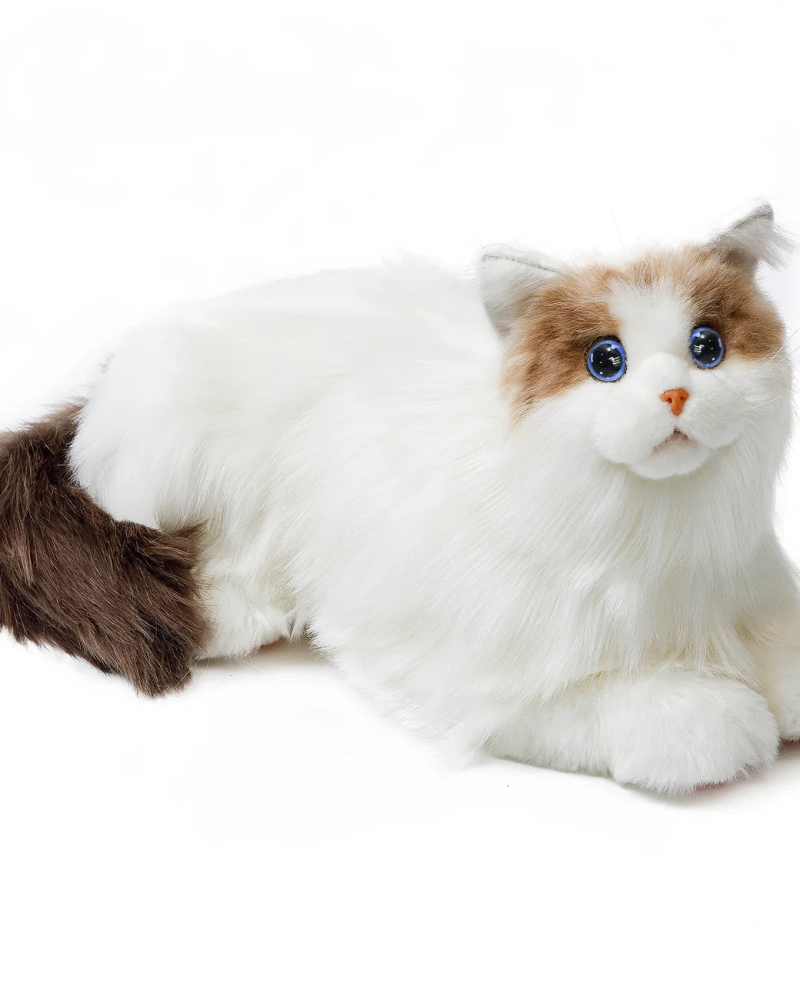 Elephant Robotics metaCat: Gift the Purr~Fect Companion Robotic Pet Cat